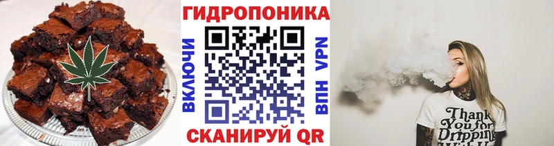 где найти наркотики  ОМГ ОМГ сайт  Еда ТГК конопля  Шенкурск 