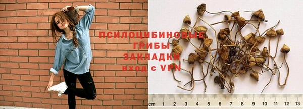 ешки Киреевск