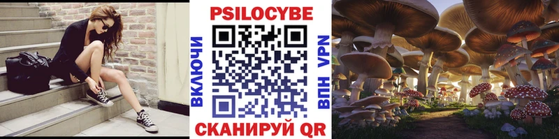 Галлюциногенные грибы Cubensis Шенкурск