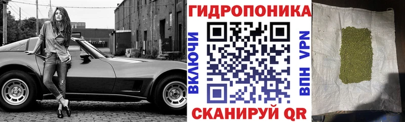 цены   Шенкурск  Канабис марихуана 